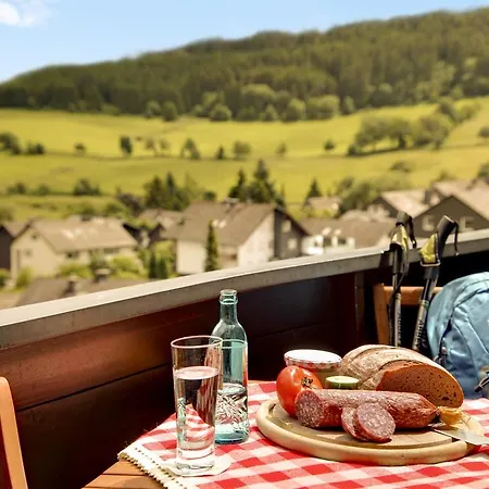 Διαμέρισμα Appartmenthaus Willingen Willingen (Upland)